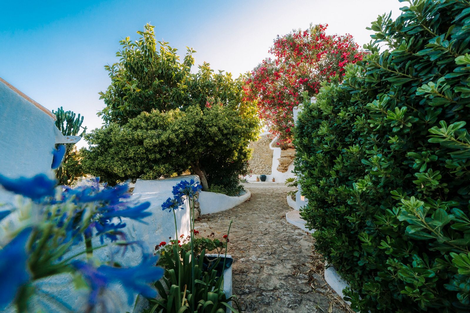 La naturaleza ineludible de Menorca · Rafal Rubí · Menorca